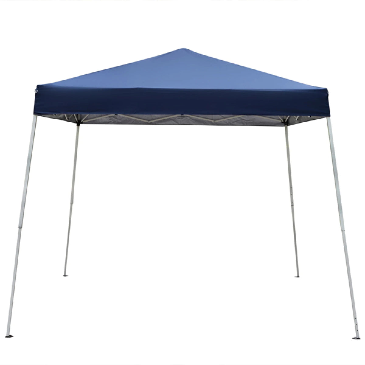 Folding Canopy Tent Pavilion with Bag W607090