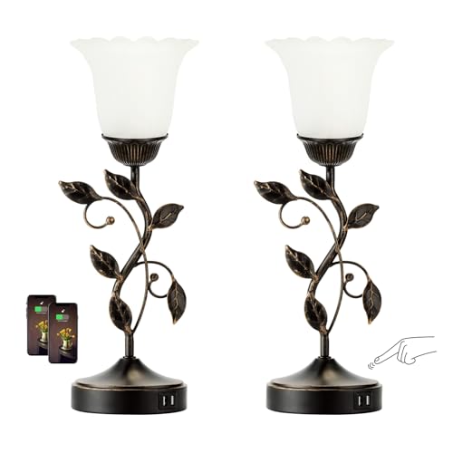 Set of 2 Touch Dimmable Lamps with USB Ports D21849