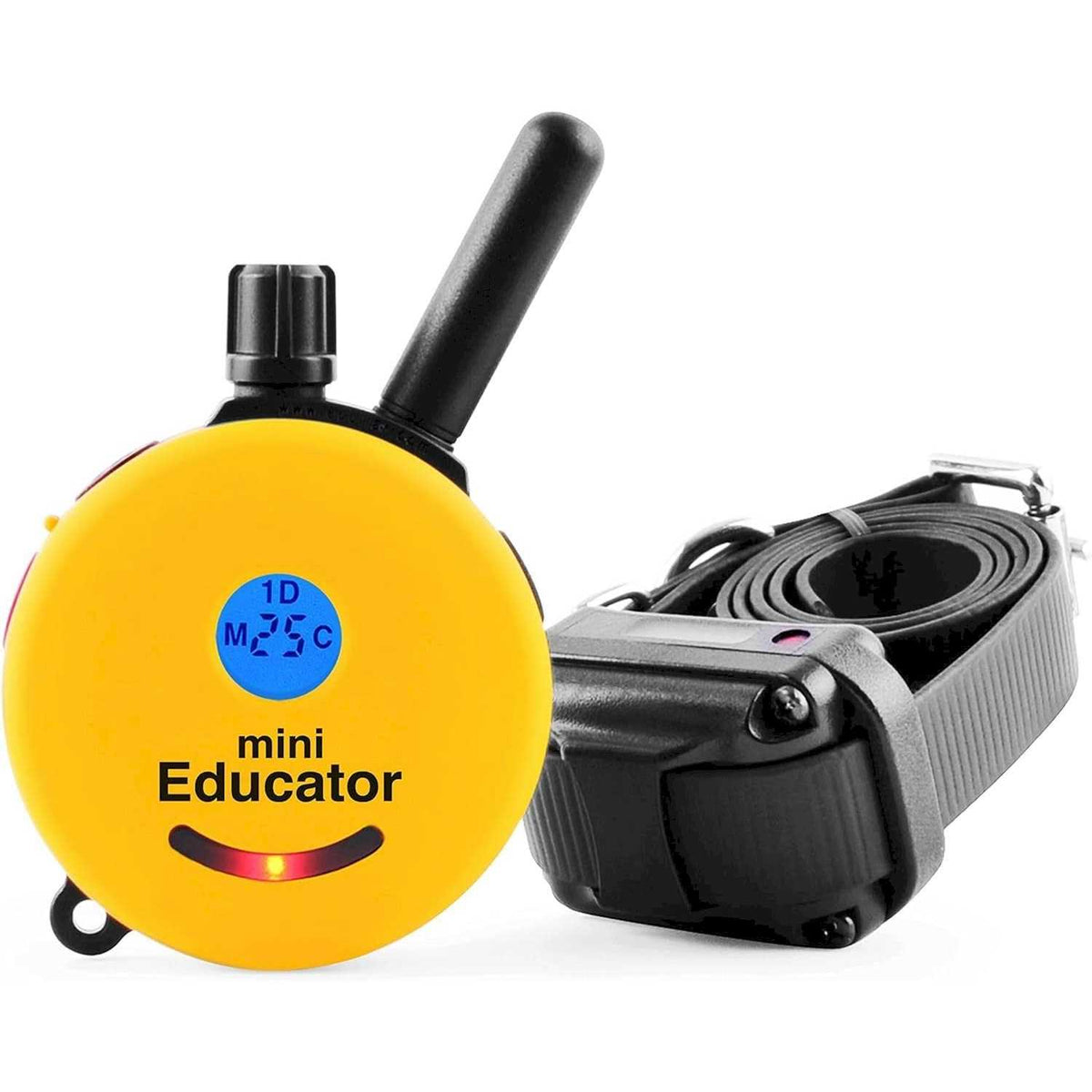 Remote Dog Training Collar W90106