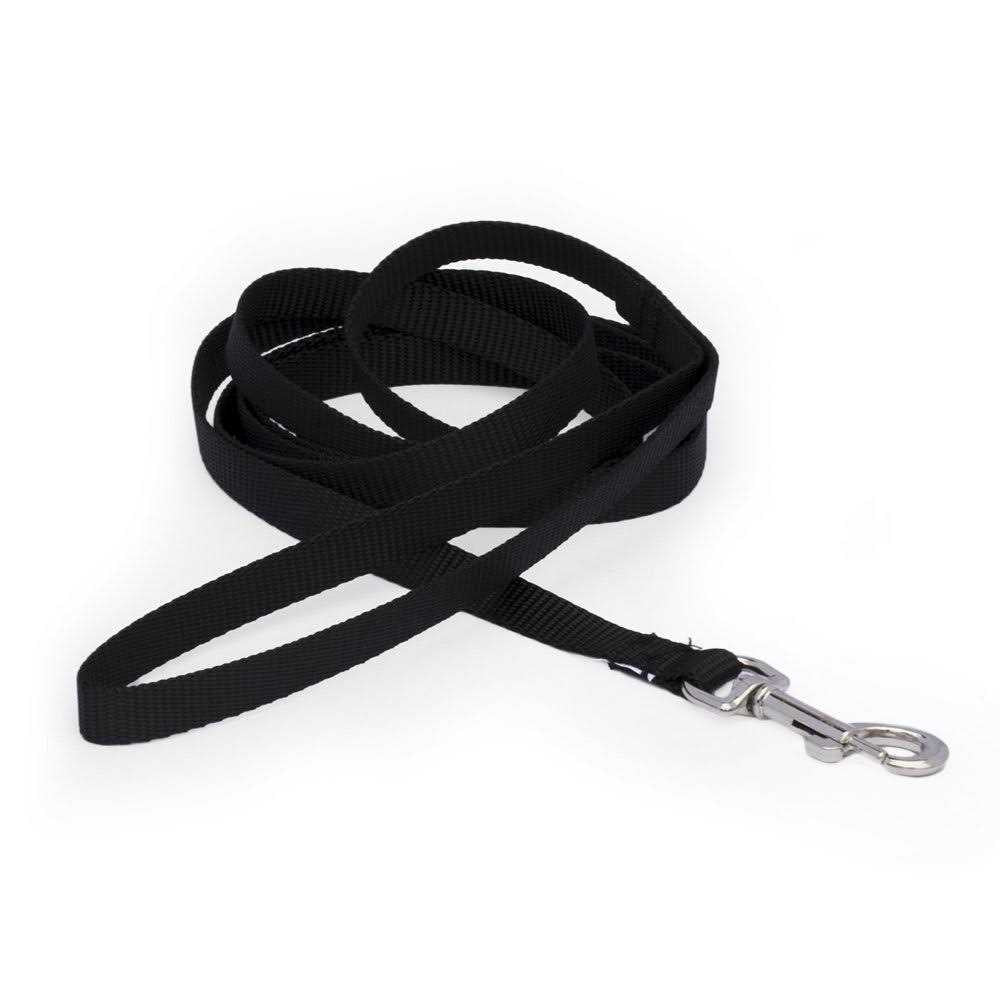 4′ Metal Dog Leash R31591