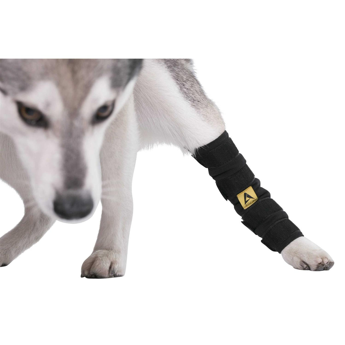 Dog Hock Brace Rear Leg Joint Wrap O6109