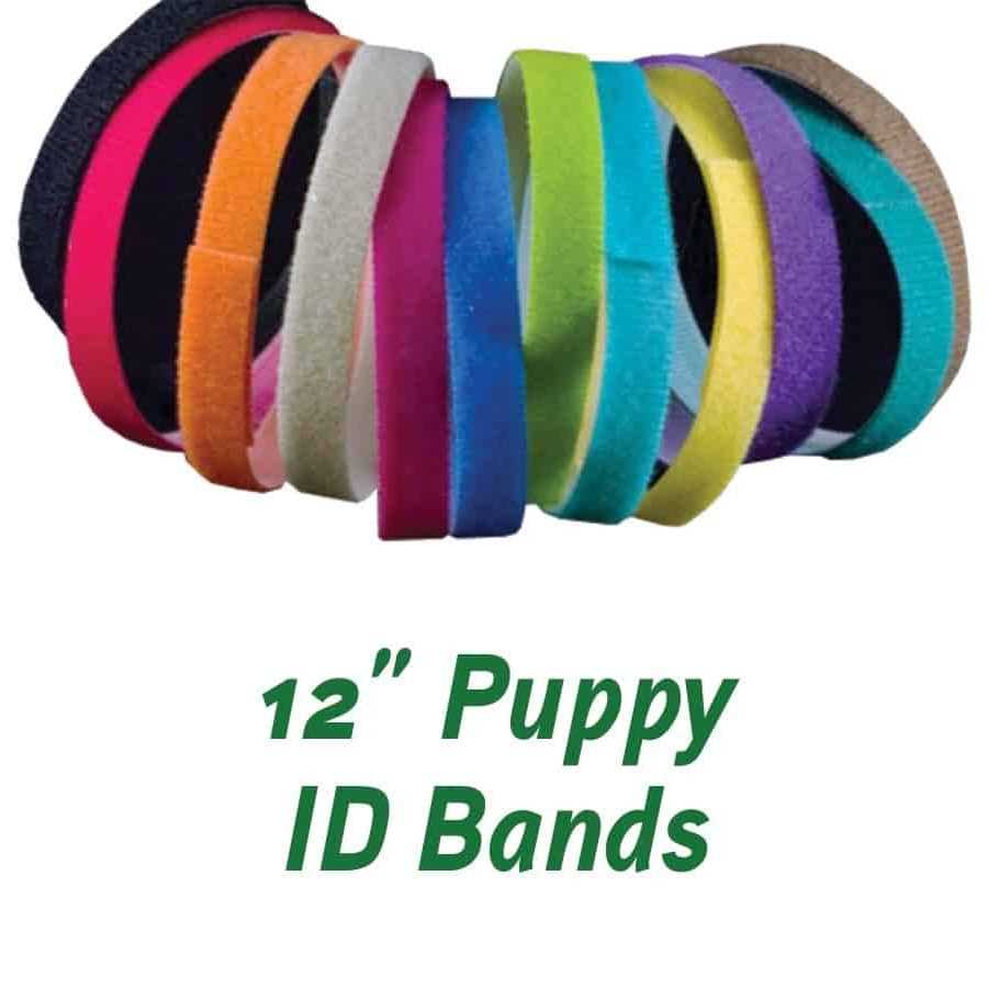 Puppy ID Bands U9344