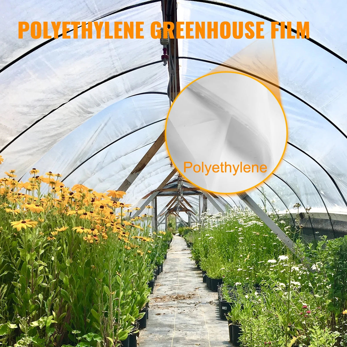 12x28 ft 6 Mil Polyethylene Greenhouse Film N679