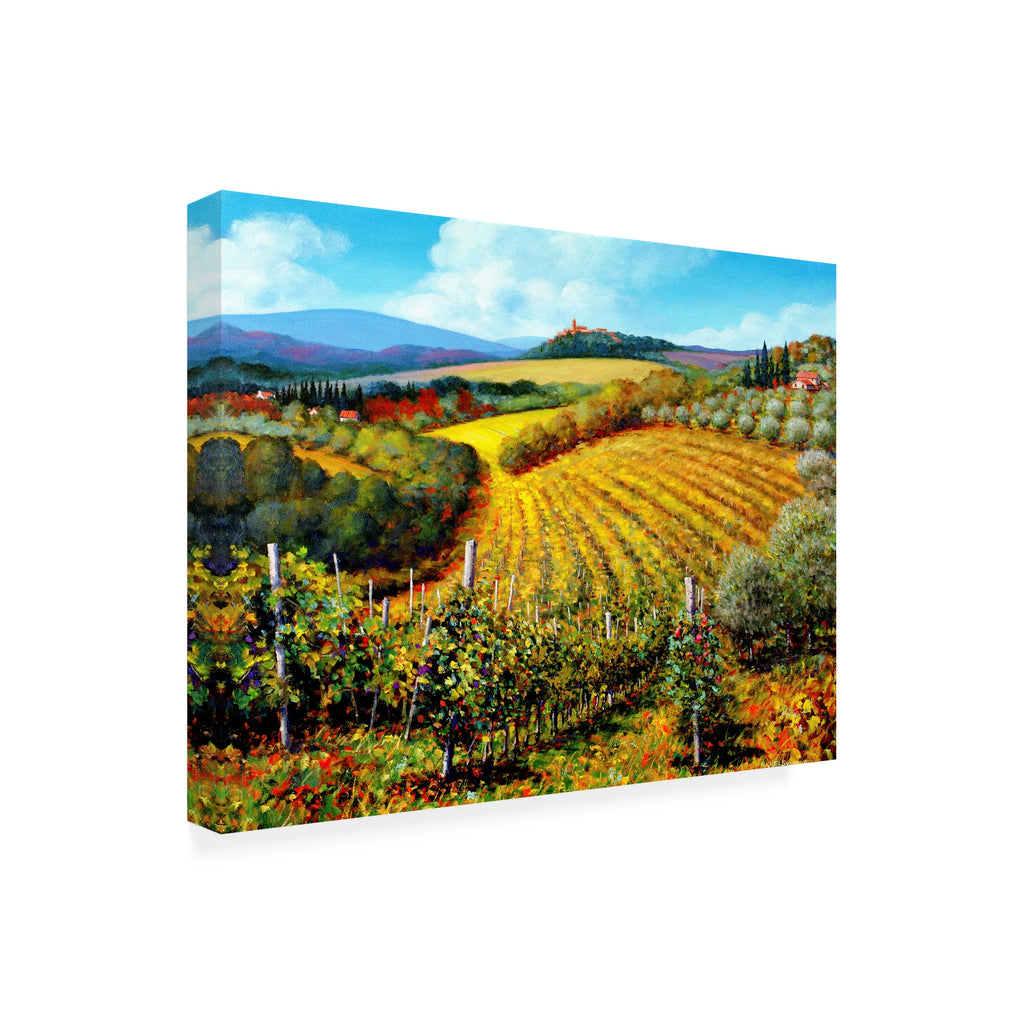 Outdoor Canvas H6062
