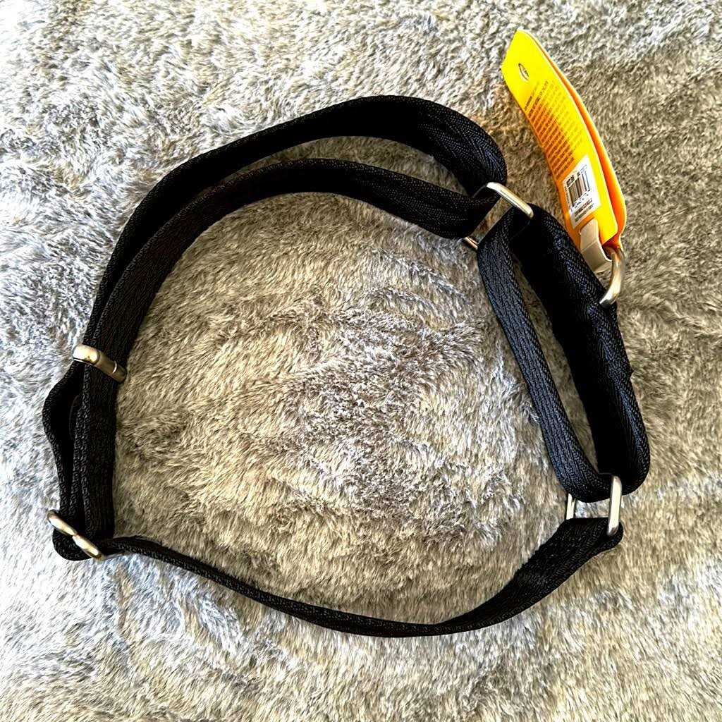 Martingale Dog Collar K220230