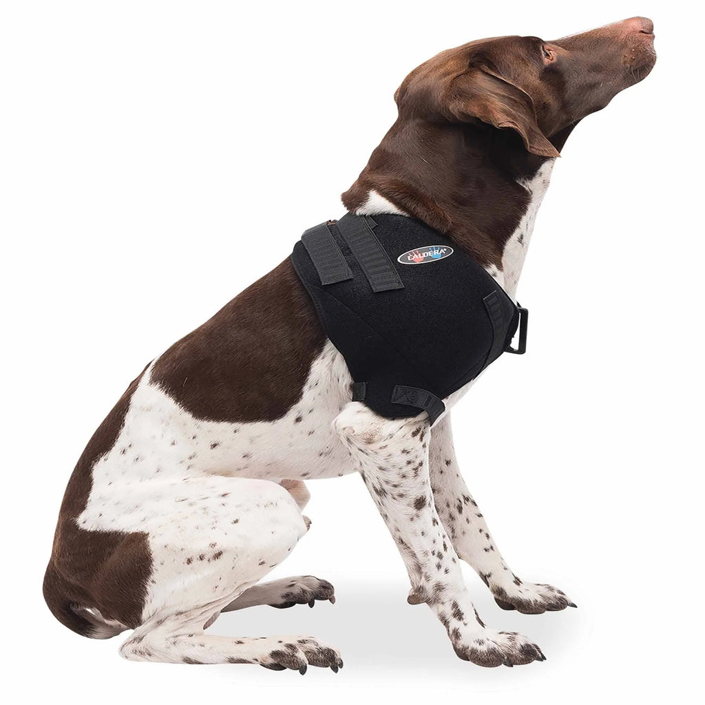 Medium Shoulder Pet Therapy Wrap with Therapy Gel Y499449