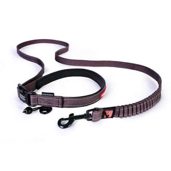 Road Runner Leash E592