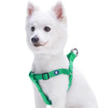 Classic Solid Nylon Step-In Dog Harness N786803