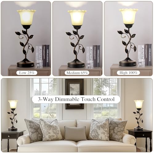 Set of 2 Touch Dimmable Lamps with USB Ports D21849