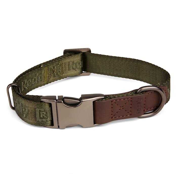 Dog Collar Q456