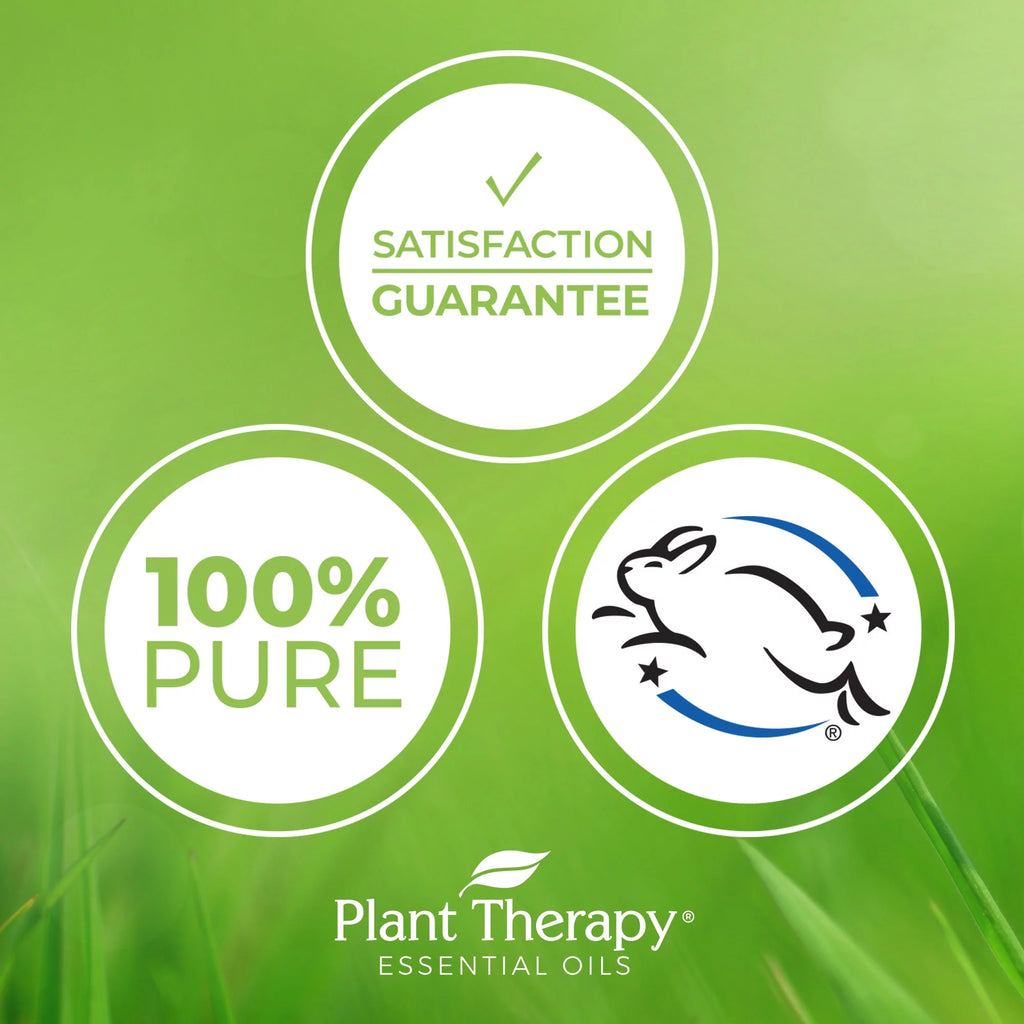Relaxation Synergy Set 100% Pure Undiluted Therapeutic Grade R533456