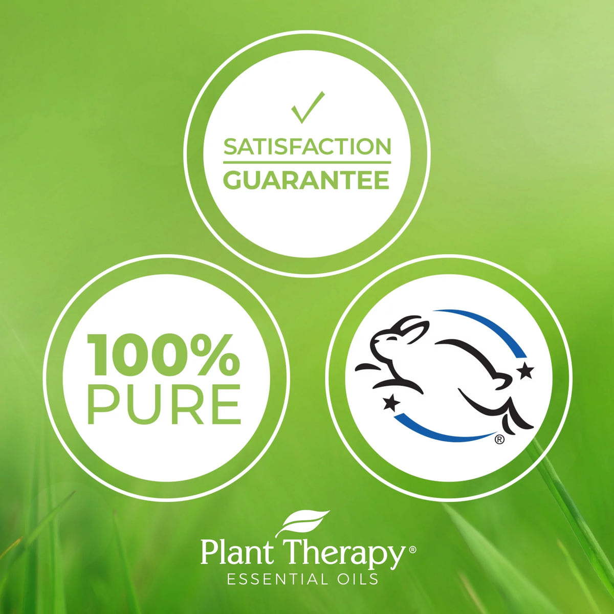 Relaxation Synergy Set 100% Pure Undiluted Therapeutic Grade R533456