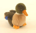 Mallard Duck Plush E3291