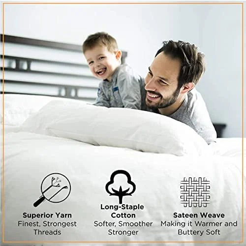 1000 Thread Count Egyptian Cotton Fitted Sheet Plum Solid H5980