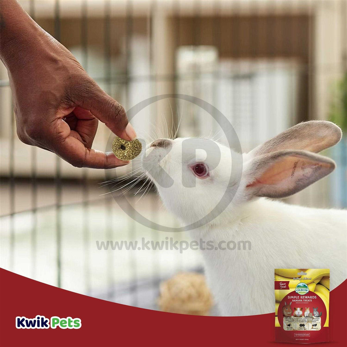 Timothy Treats O134420