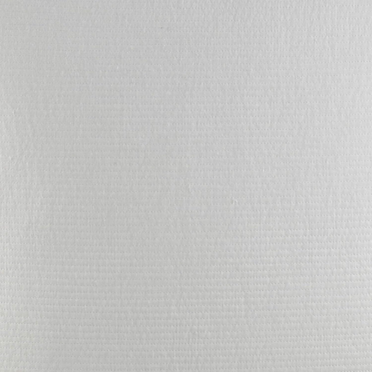 White Euro Sham U553