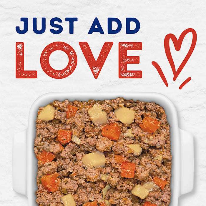 Natural Balance Platefulls Tender Beef & Potato Recipe Wet Dog Food X36595