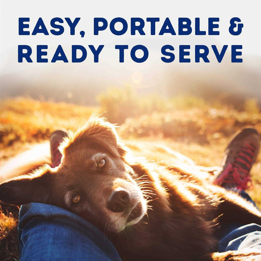 Natural Balance Platefulls Tender Beef & Potato Recipe Wet Dog Food X36595