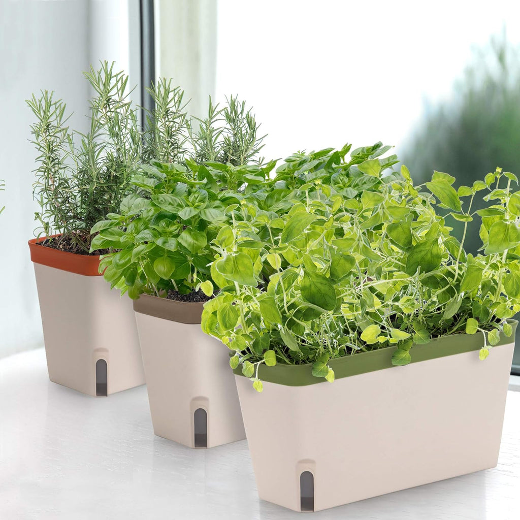 Self-Watering Rectangular Window Herb Planter Box Set of 3 V456307