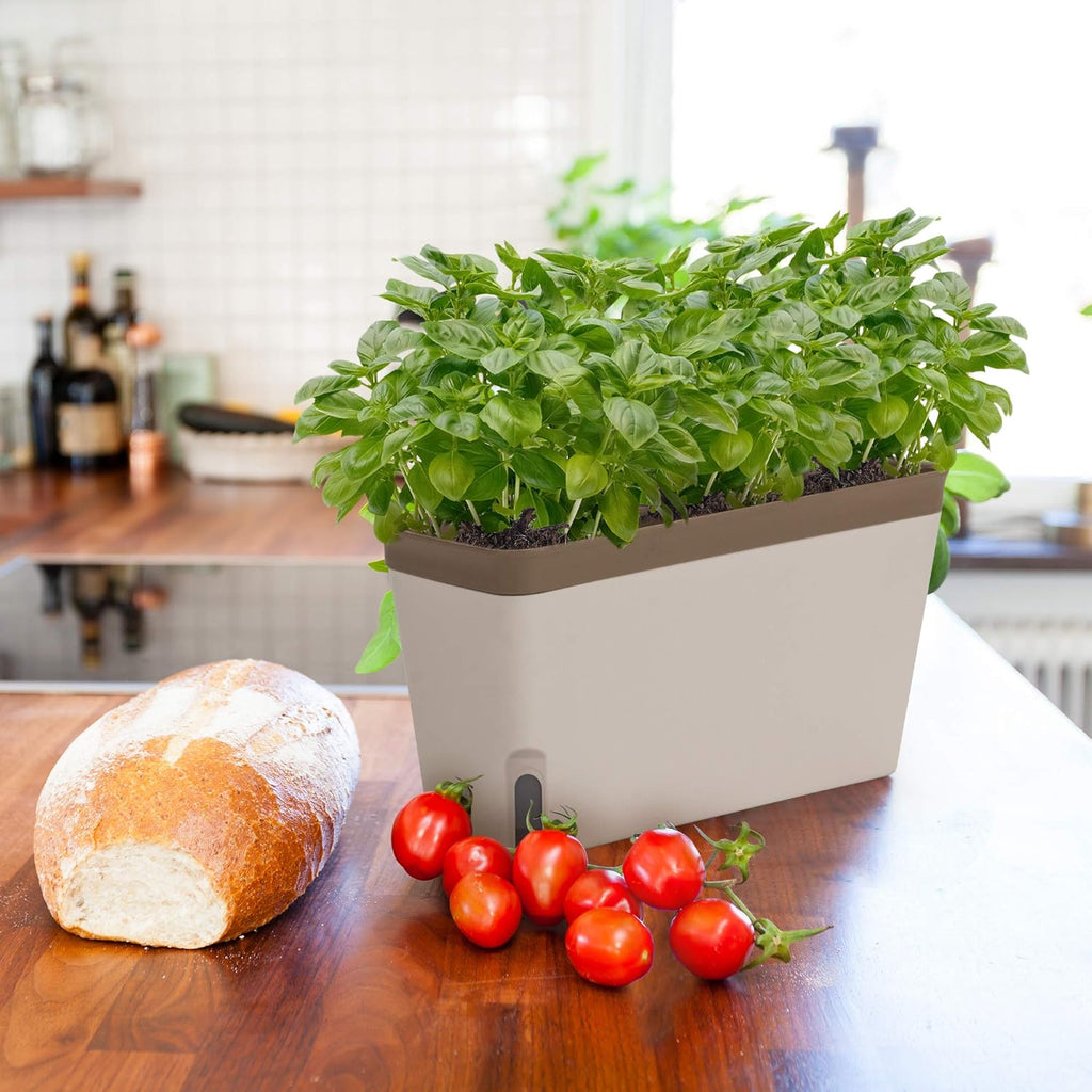 Self-Watering Rectangular Window Herb Planter Box Set of 3 V456307