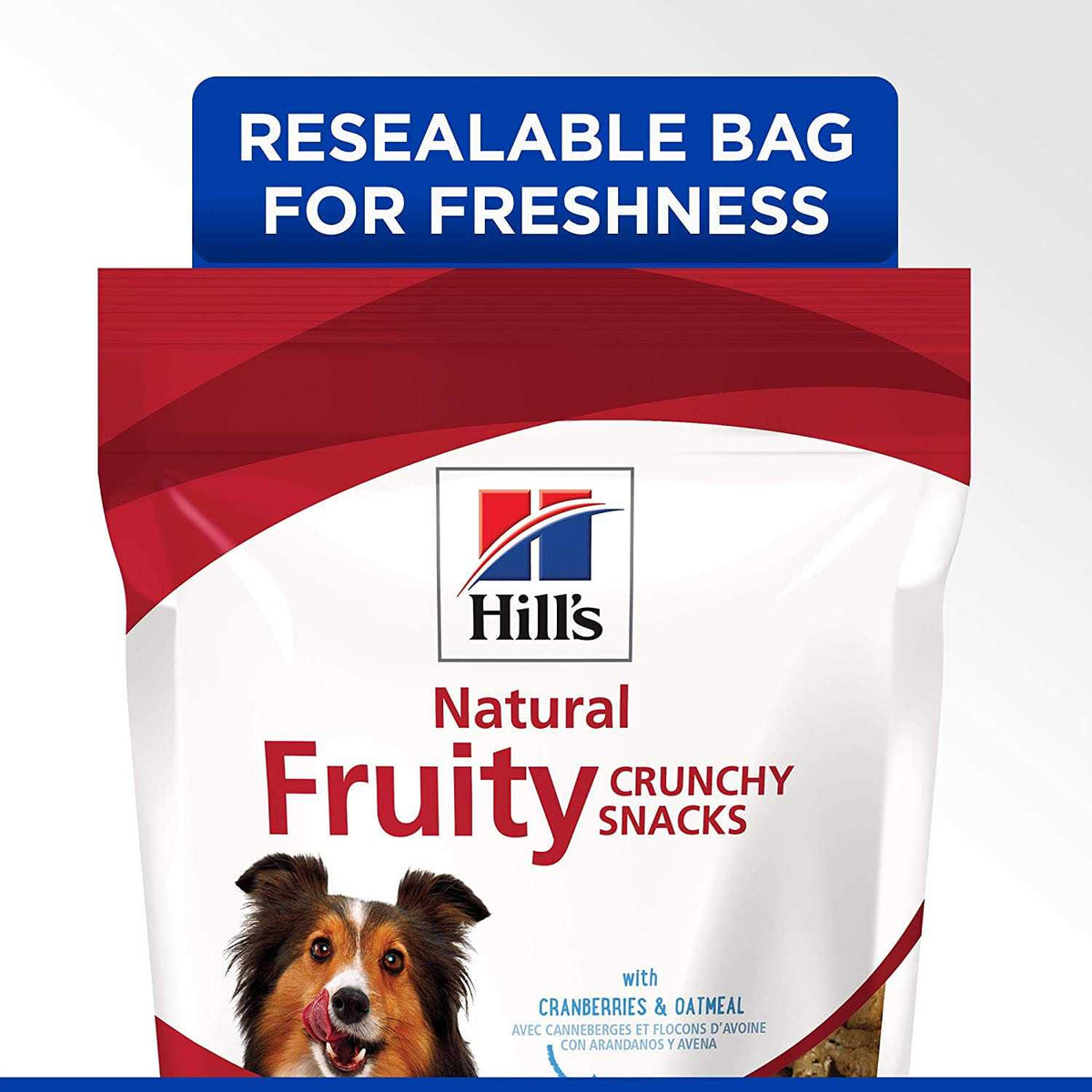 Fruity Snacks Oatmeal Dog Treats N427