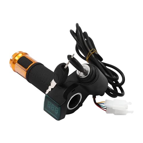10IN 24V/36V Dual Motor Drive Air Wheel Off-Road Wheel Conversion Kit with Reverse Switch U248