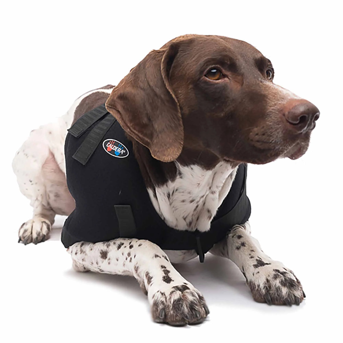 Medium Shoulder Pet Therapy Wrap with Therapy Gel Y499449