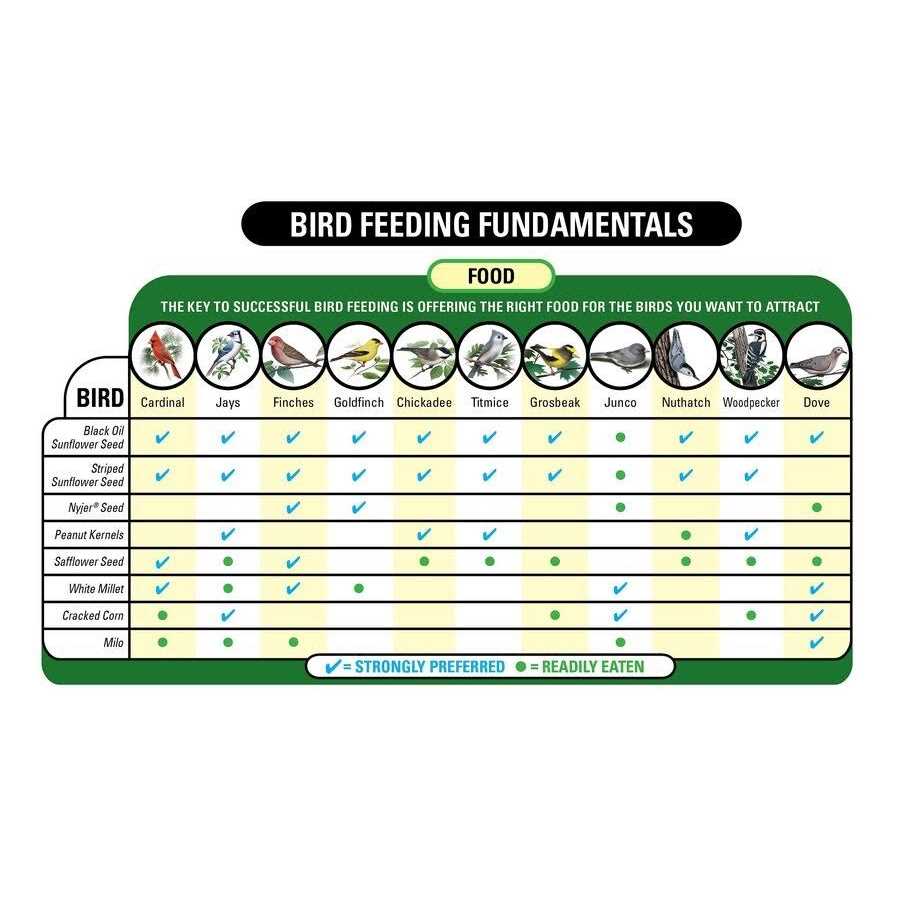 5 lb. Wild Bird Food N26895