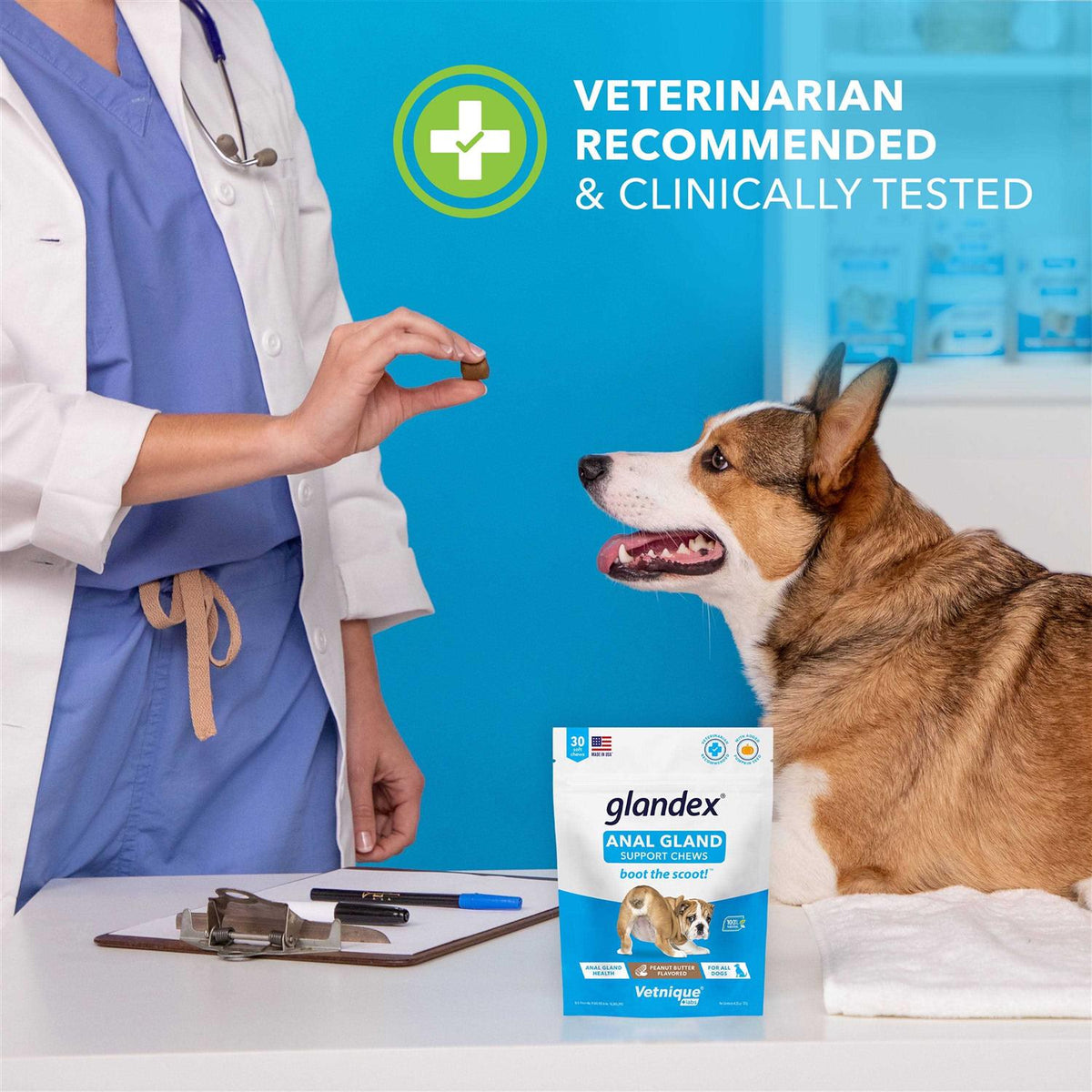 Anal Gland Soft Chews Supplement for Dogs L207