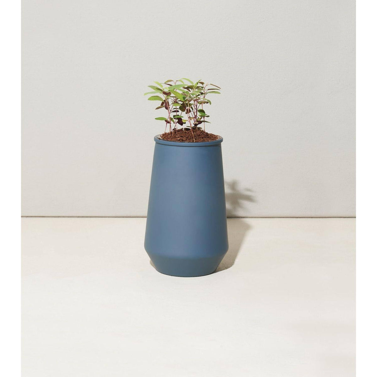 Tapered Tumbler Grow Kits, Indoor Garden Kit, Lavender & Eucalyptus (2 Jars) Z273200