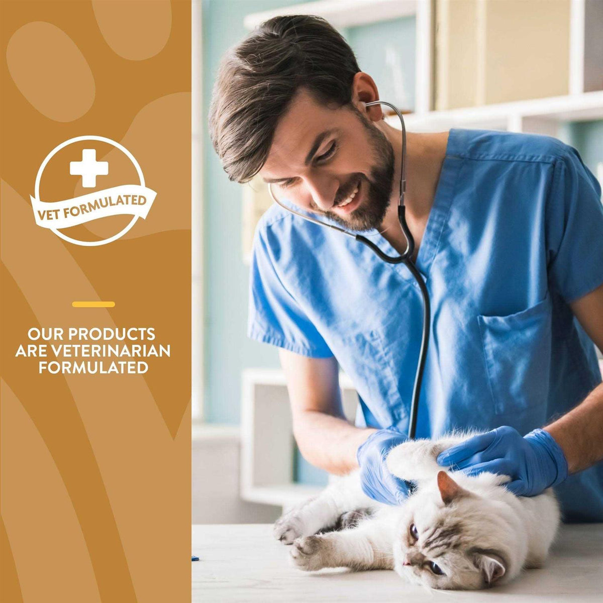 Skin & Coat Plus Omegas for Cats O3729