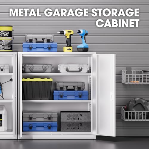 Metal Storage Cabinet with 2 Doors and 2 Adjustable Shelves U63943
