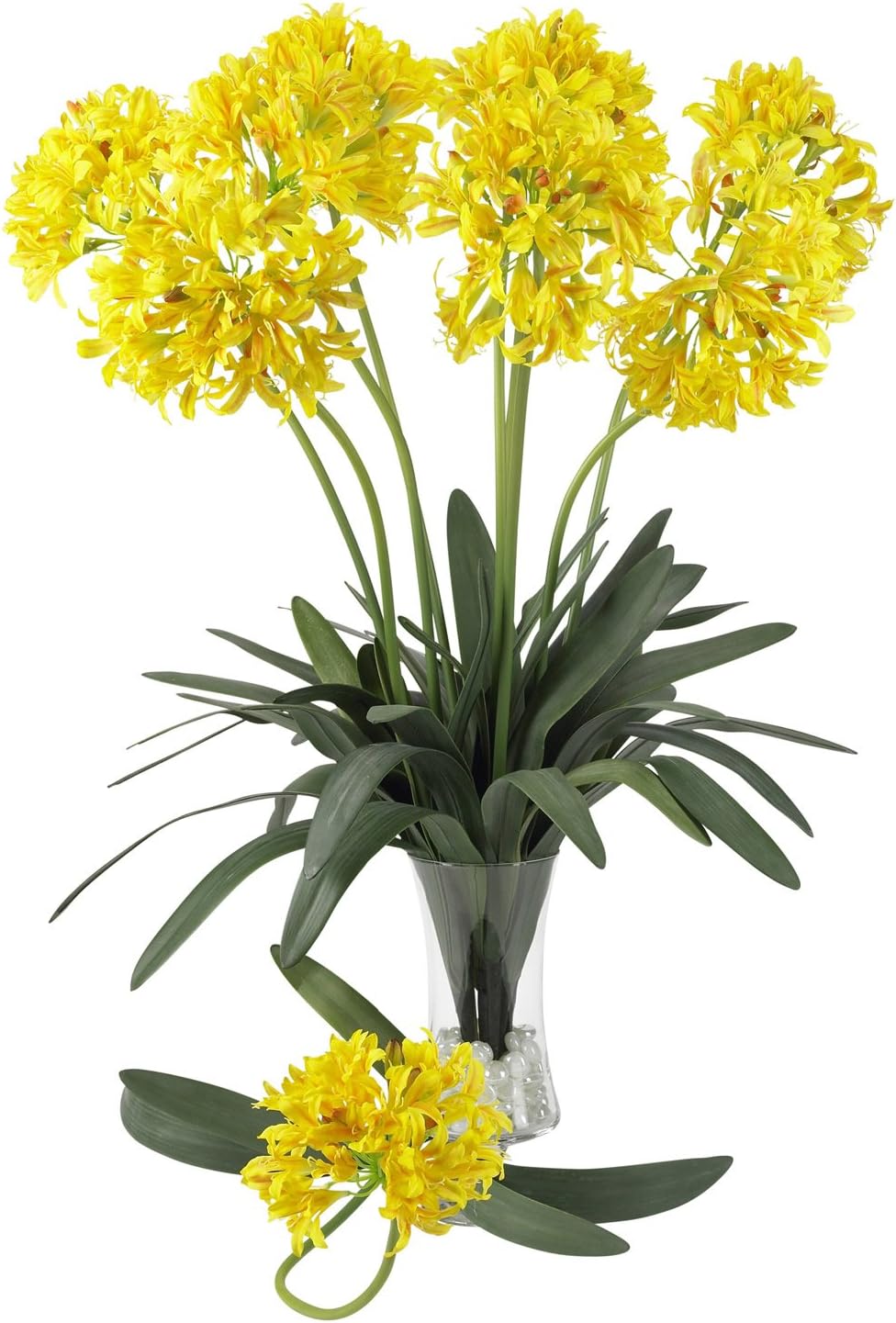 29 African Lily Stem Set of 12 Yellow Pack of 2 Y1245