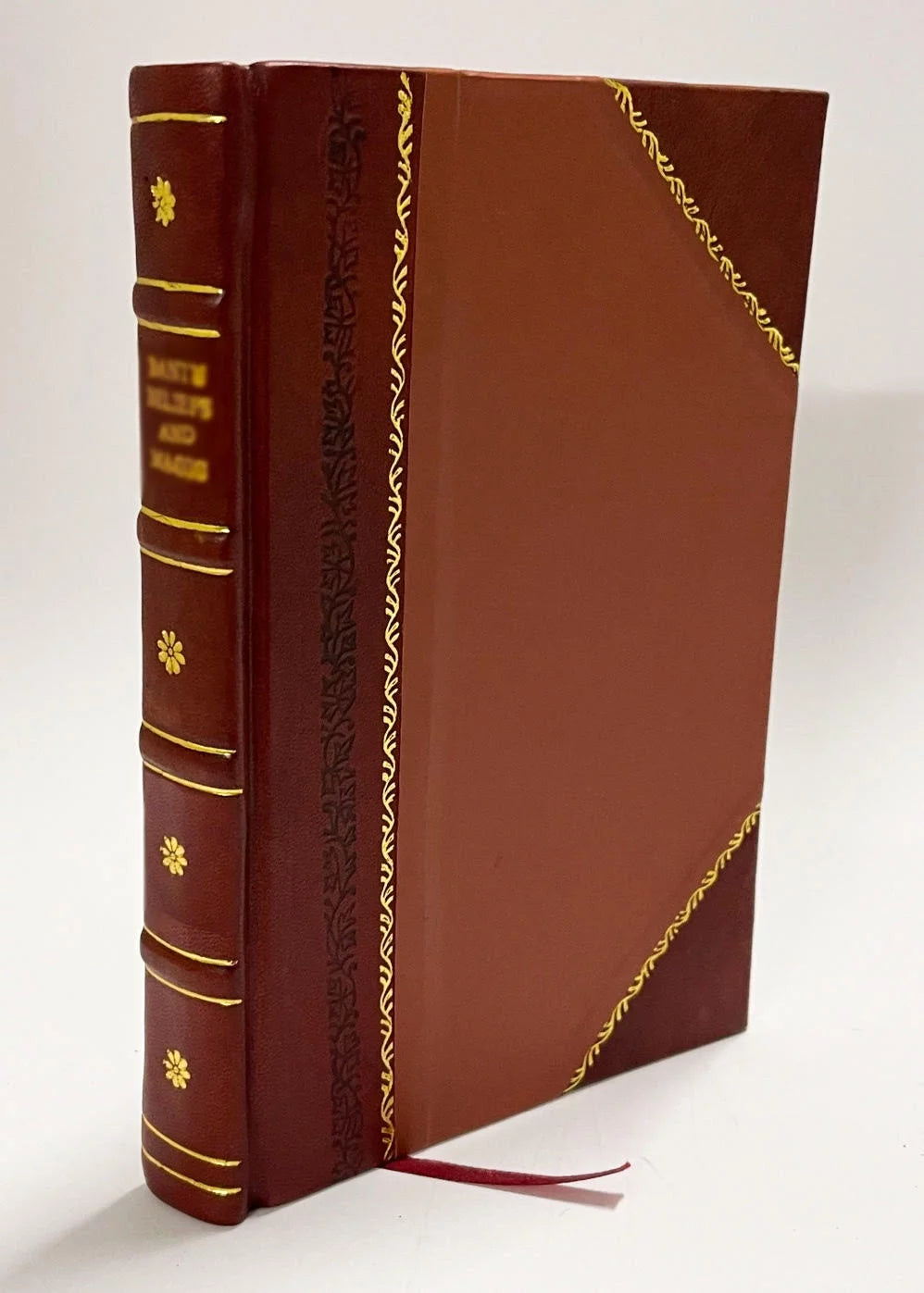 Leather Bound Book Z62333