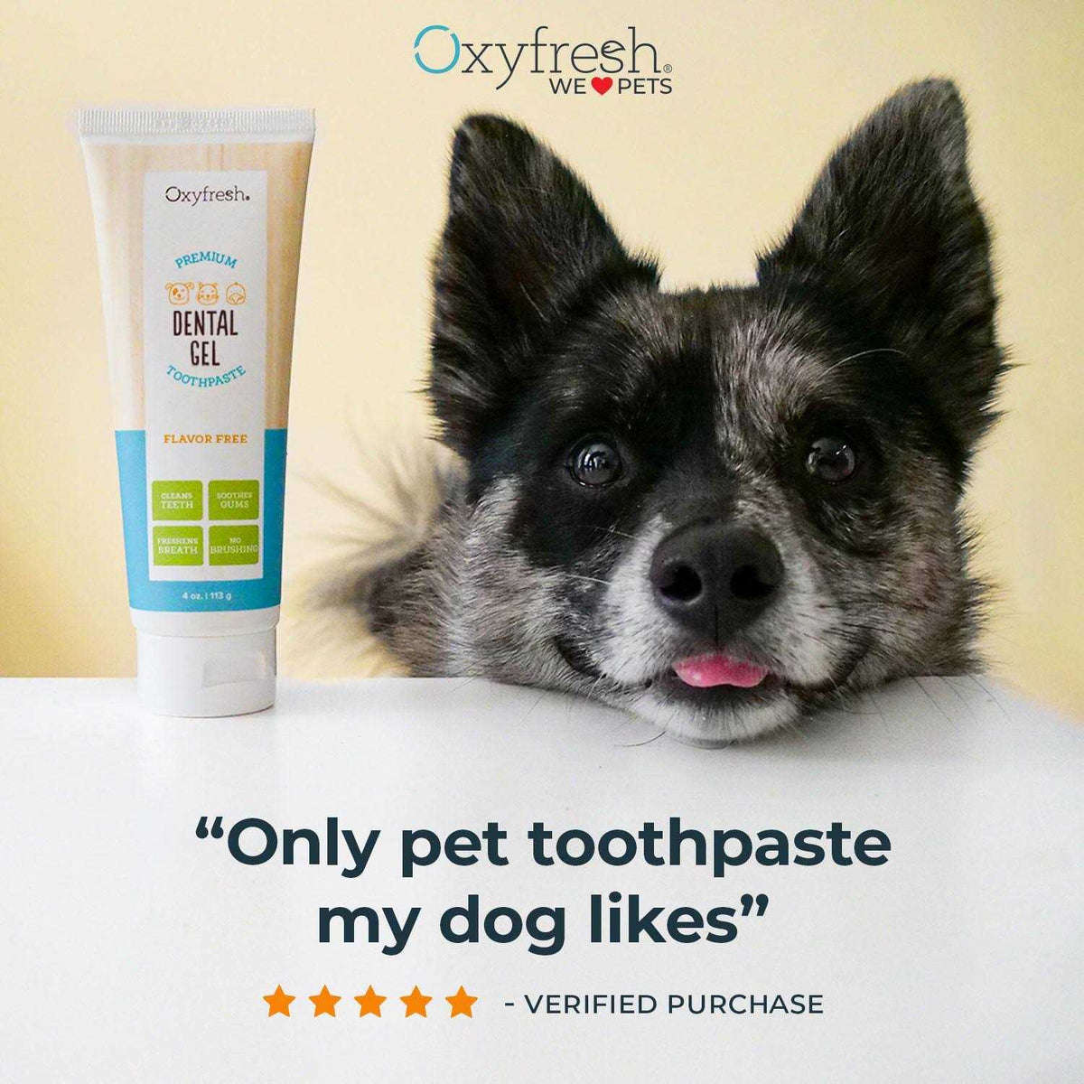 Pet Dental Gel Toothpaste Y95626