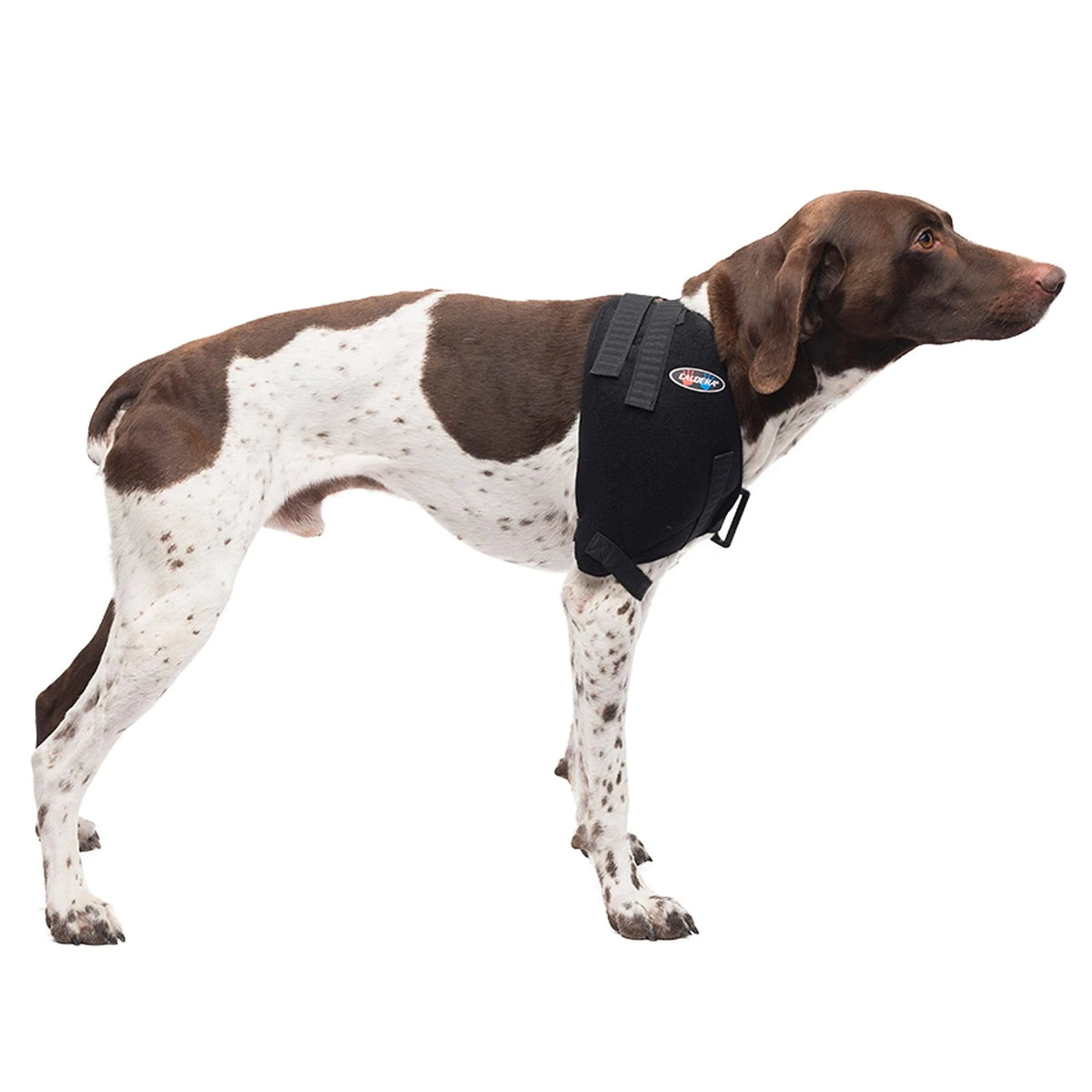 Medium Shoulder Pet Therapy Wrap with Therapy Gel Y499449