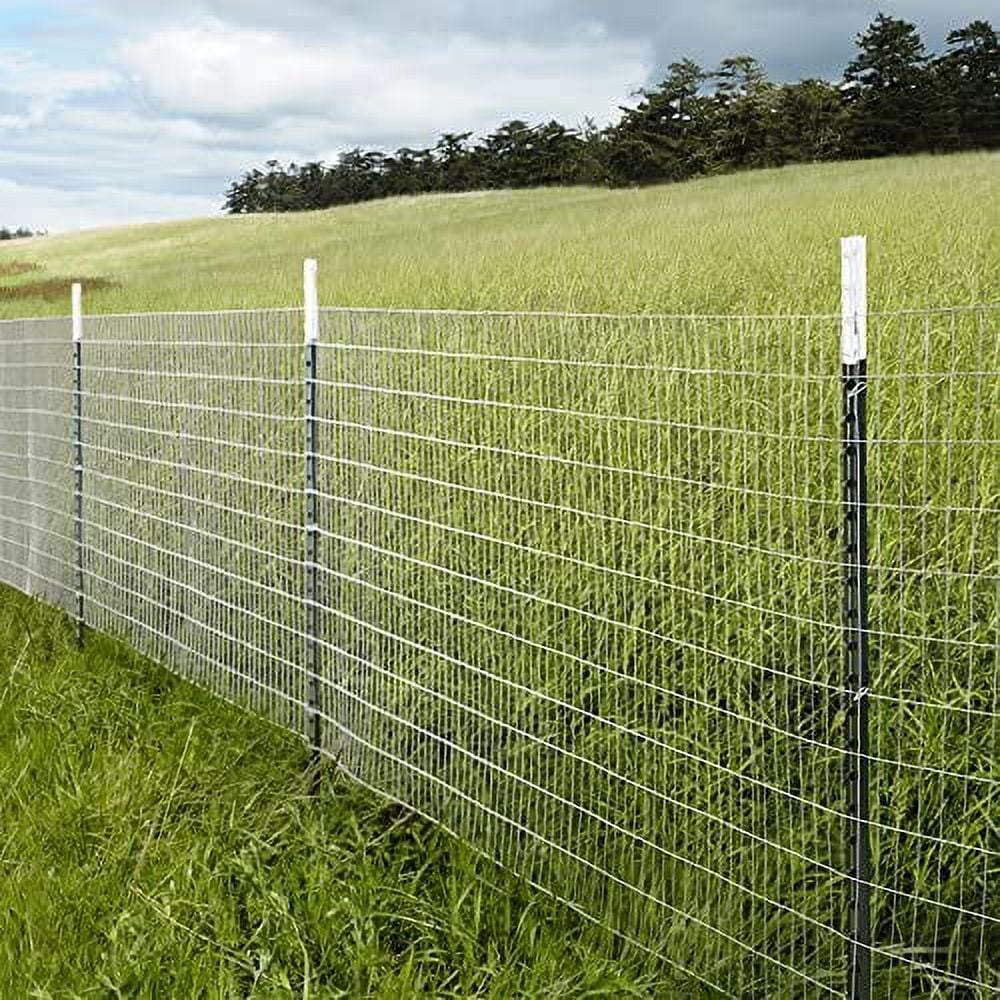 Galvanized Welded Wire Mesh Garden Fence P609573