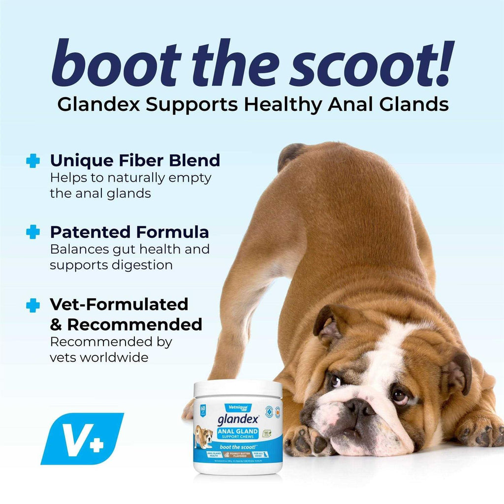 Anal Gland Soft Chews Supplement for Dogs L207