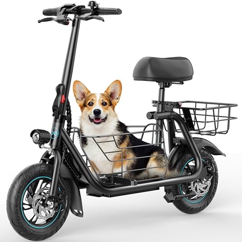 Electric Scooter with Seat J71047