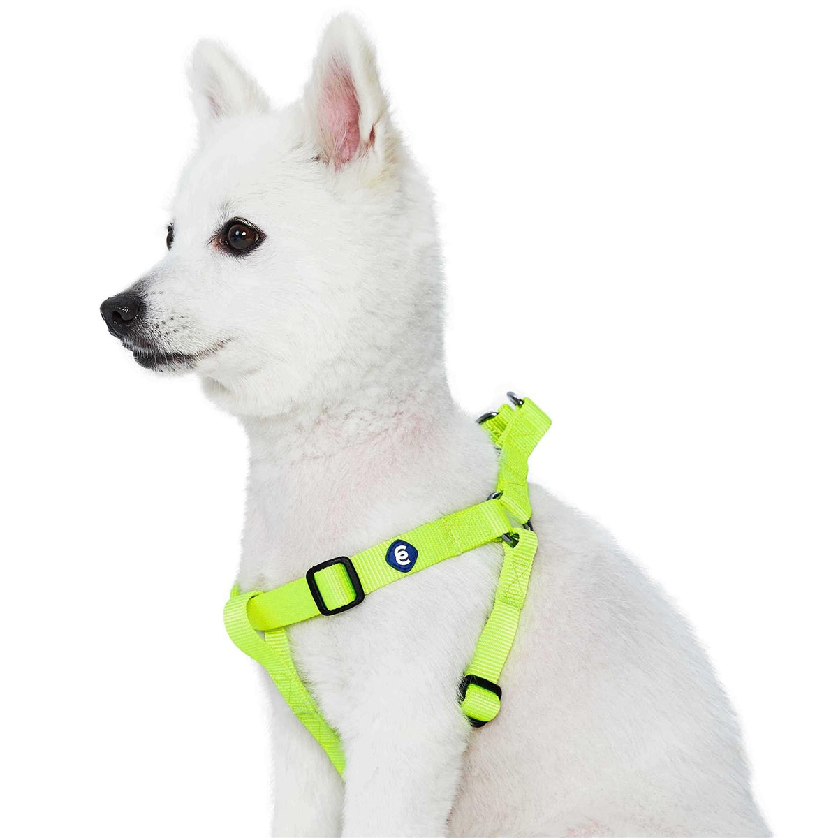 Classic Solid Nylon Step-In Dog Harness N786803