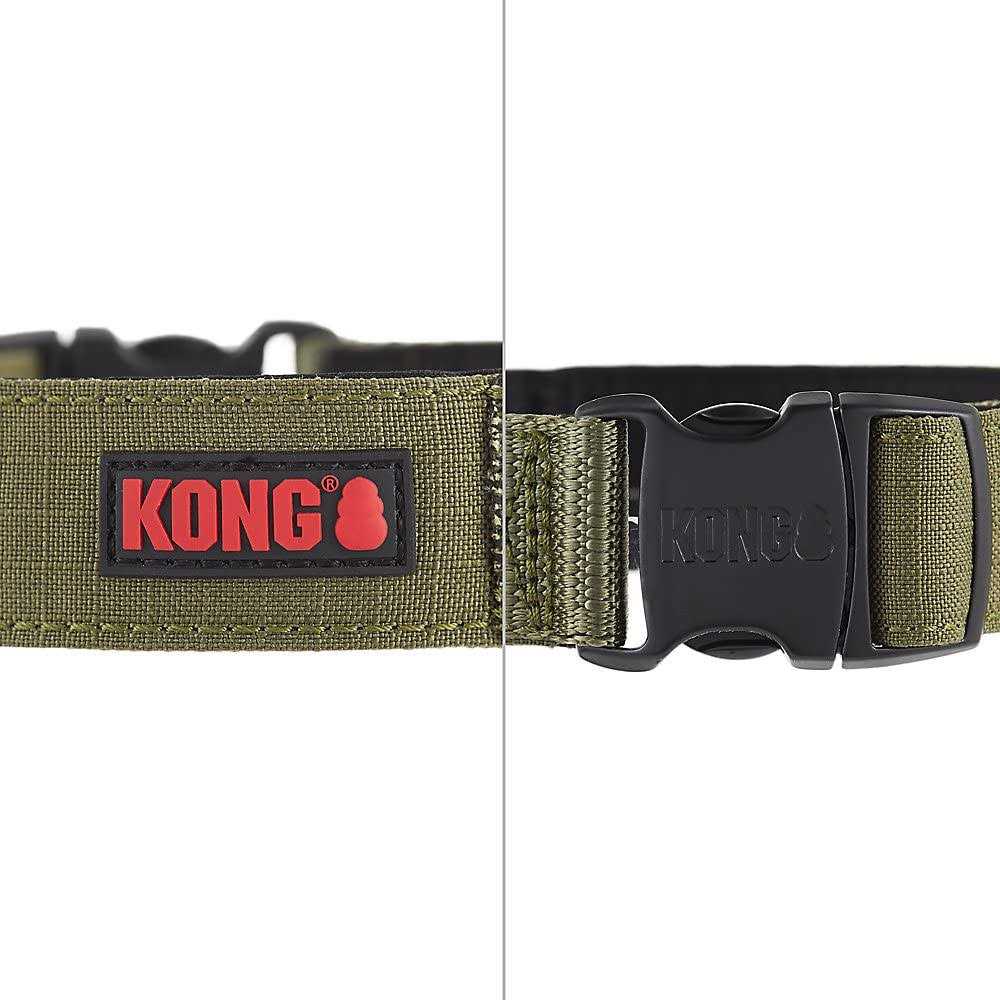 Padded Dog Collar T9406