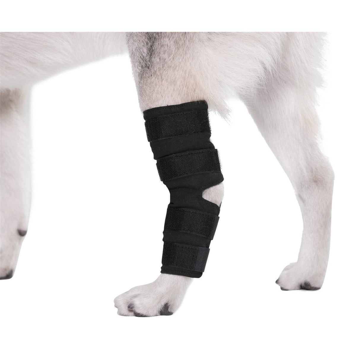 Dog Hock Brace Rear Leg Joint Wrap O6109