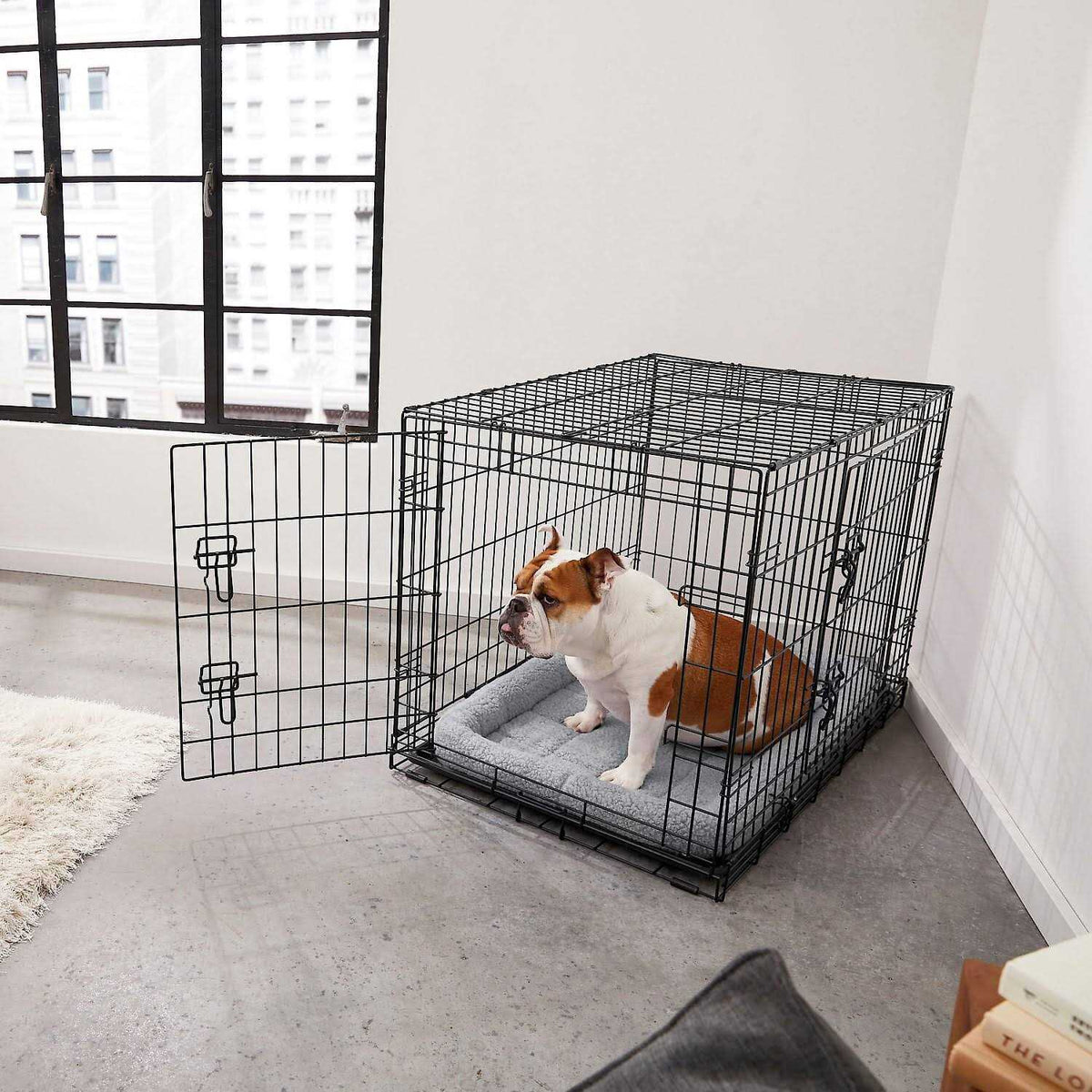 Heavy Duty Fold & Carry Double Door Collapsible Wire Dog Crate N8672