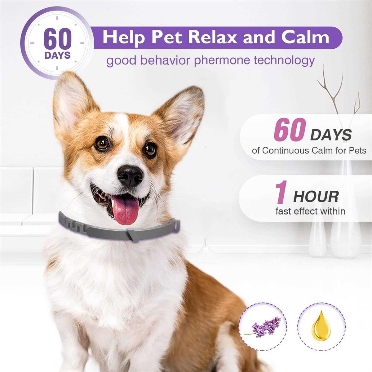 Adjustable Calming Pheromones Collar 3 Packs U184628