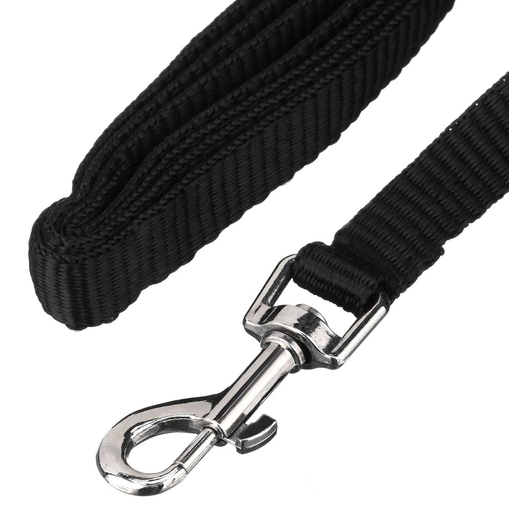 4′ Metal Dog Leash R31591