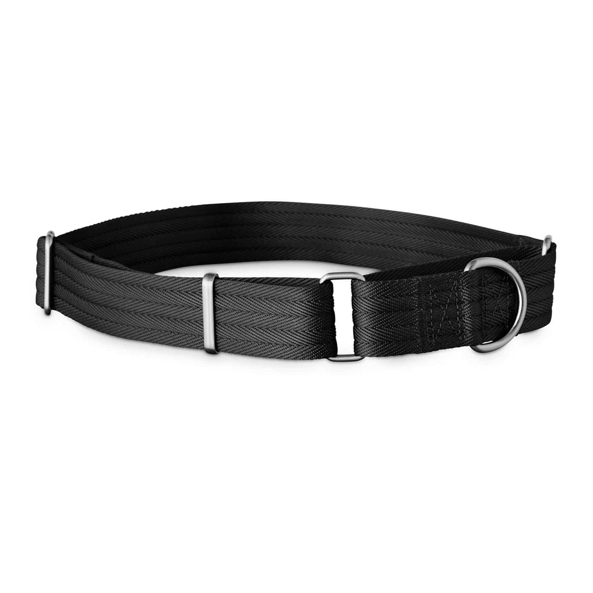 Martingale Dog Collar K220230