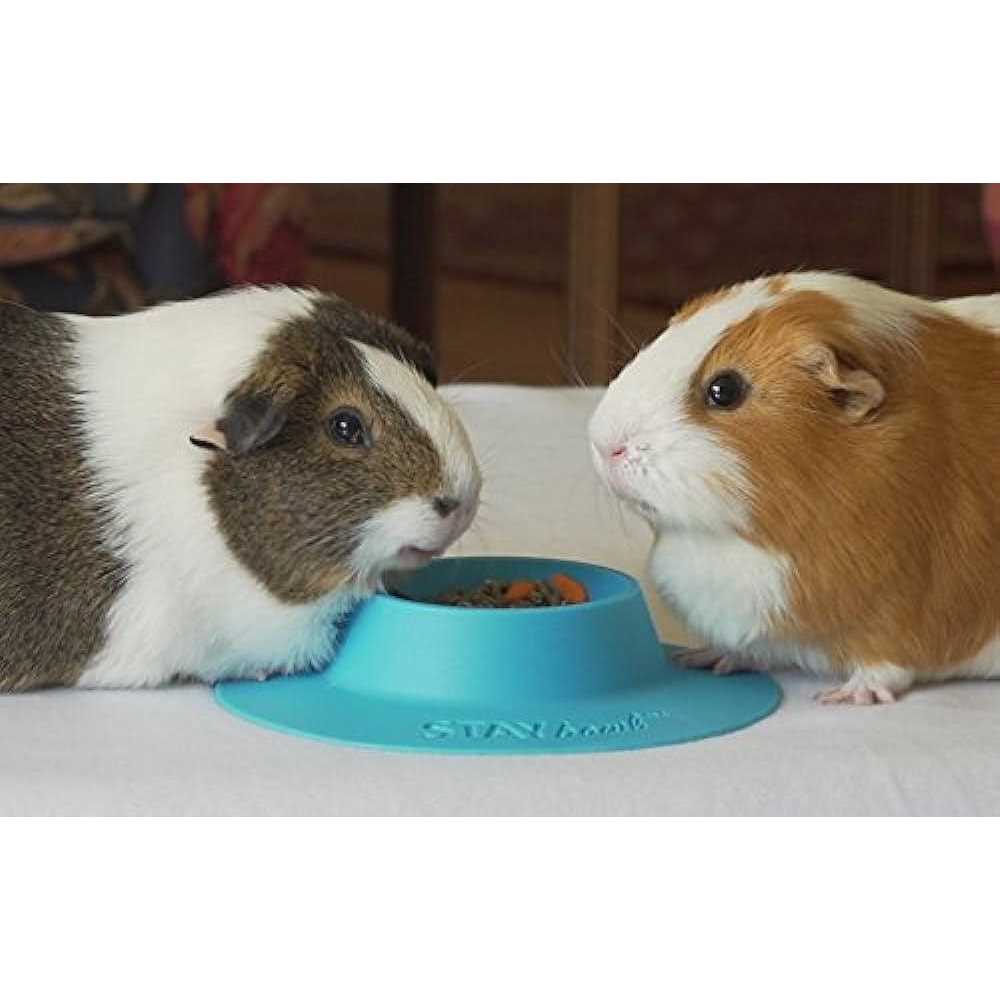 Tip-Proof Bowl for Guinea Pigs and Small Pets L533