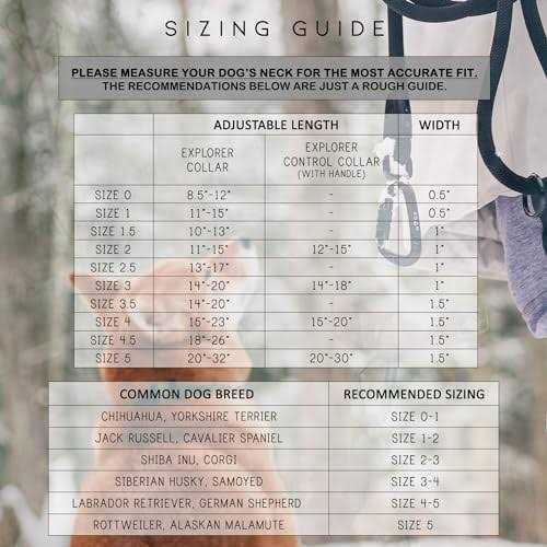 Adjustable Heavy Duty Nylon Dog Collar with Quick-Release Metal Buckle V725266