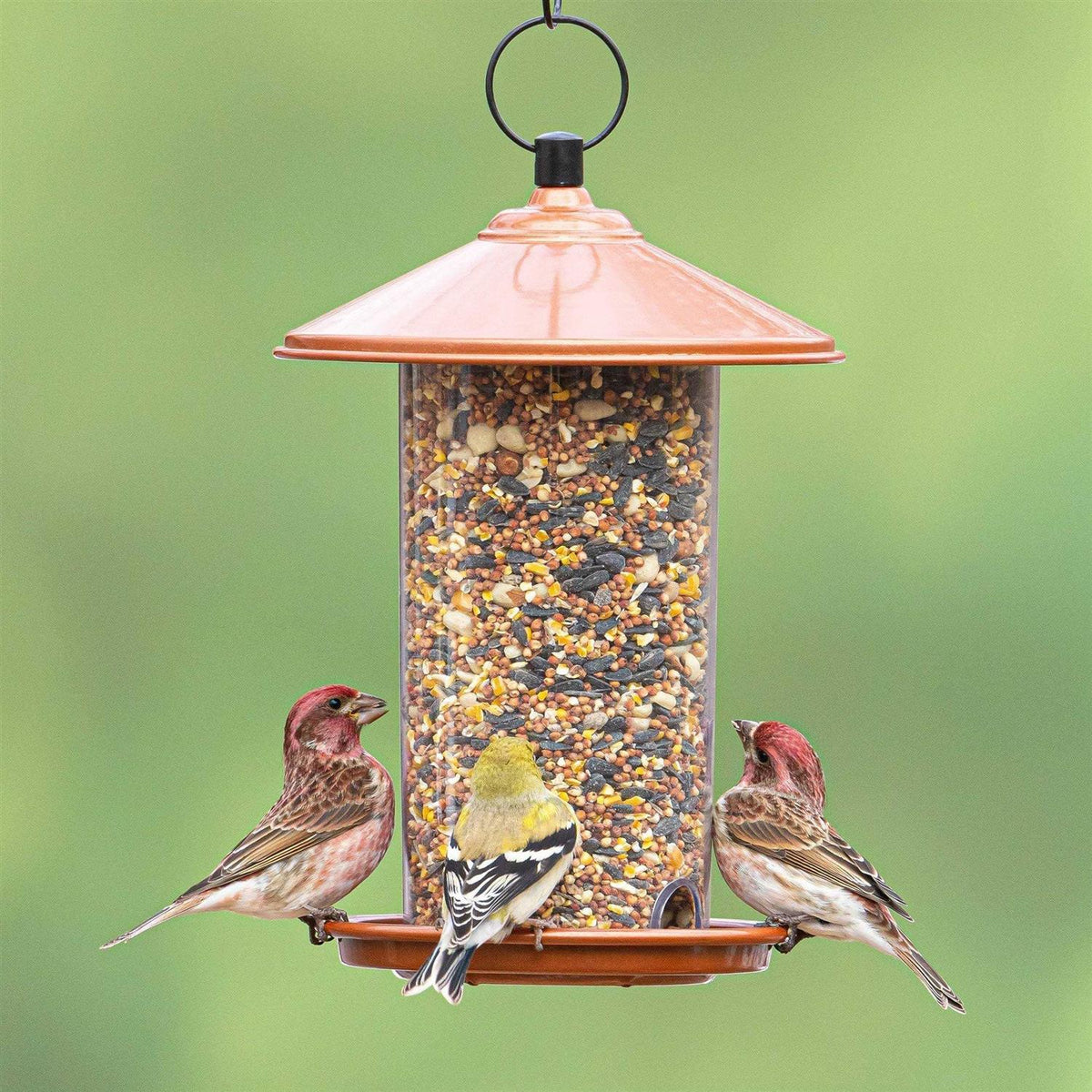 Peanut & Sunflower Wild Bird Feed S293