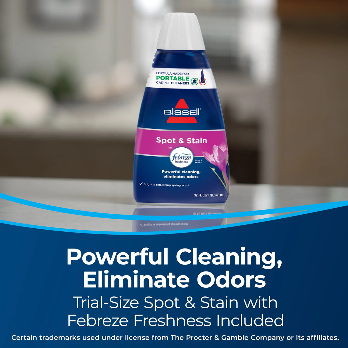 Portable Carpet Cleaner C487